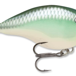 Baits & Lures Rapala DT Series Crankbait DT4