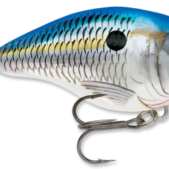 Baits & Lures Rapala DT Series Crankbait DT4