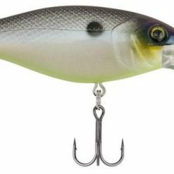 Berkley Bad Shad Medium Diving Crankbait Baits & Lures