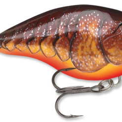 Baits & Lures Rapala DT Series Crankbait DT4