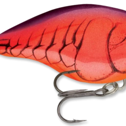 Baits & Lures Rapala DT Series Crankbait DT4