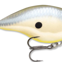 Baits & Lures Rapala DT Series Crankbait DT4