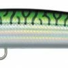 Daiwa Salt Pro Minnow Bullet Fast Sinking 2 1/8 Oz. Rip Bait Baits & Lures 2 Daiwa Salt Pro Minnow Bullet Fast Sinking 2 1/8 Oz. Rip Bait Baits & Lures