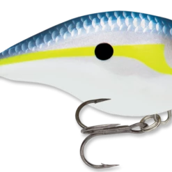 Baits & Lures Rapala DT Series Crankbait DT4