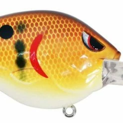 Crankbaits SPRO Fat Papa 70 Deep Diving Crankbait 36 Crankbaits SPRO Fat Papa 70 Deep Diving Crankbait