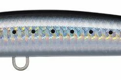 Daiwa Salt Pro Minnow Bullet Fast Sinking 2 1/8 Oz. Rip Bait Baits & Lures 24 Daiwa Salt Pro Minnow Bullet Fast Sinking 2 1/8 Oz. Rip Bait Baits & Lures