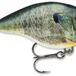 Baits & Lures Rapala DT Series Crankbait DT4