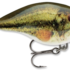 Baits & Lures Rapala DT Series Crankbait DT4