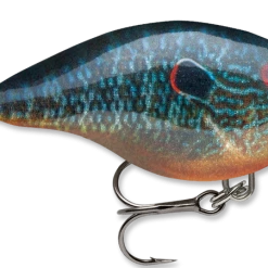 Baits & Lures Rapala DT Series Crankbait DT4