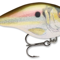 Baits & Lures Rapala DT Series Crankbait DT4