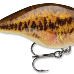 Baits & Lures Rapala DT Series Crankbait DT4