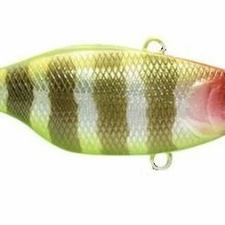 Jackall TN 50/60/70 Lipless Crankbait Baits & Lures