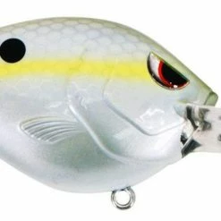 Crankbaits SPRO Fat Papa 70 Deep Diving Crankbait 44 Crankbaits SPRO Fat Papa 70 Deep Diving Crankbait