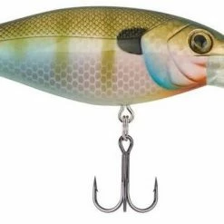 Berkley Bad Shad Medium Diving Crankbait Baits & Lures
