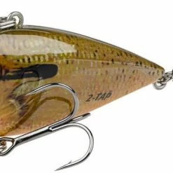 Strike King Red Eyed Shad Tungsten 2 Tap 1/2 Oz. Lipless Crankbait Baits & Lures 54 Strike King Red Eyed Shad Tungsten 2 Tap 1/2 Oz. Lipless Crankbait Baits & Lures