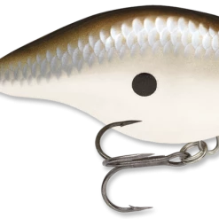 Baits & Lures Rapala DT Series Crankbait DT4