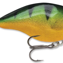 Baits & Lures Rapala DT Series Crankbait DT4