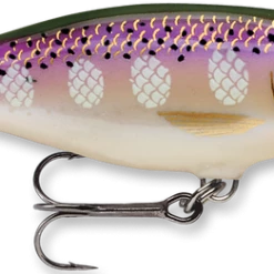 Baits & Lures Rapala SR09 Shad Rap 3 1/2 Inch Deep Diving Crankbait 49 Baits & Lures Rapala SR09 Shad Rap 3 1/2 Inch Deep Diving Crankbait