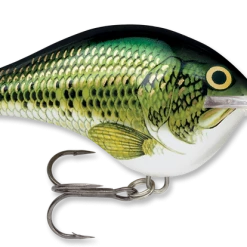 Rapala DT Series Crankbait DT10