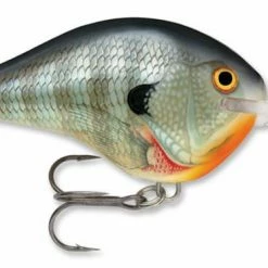 Baits & Lures Rapala DT Series Crankbait DT14