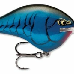 Baits & Lures Rapala DT Series Crankbait DT14