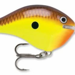 Baits & Lures Rapala DT Series Crankbait DT14