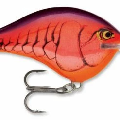 Baits & Lures Rapala DT Series Crankbait DT14