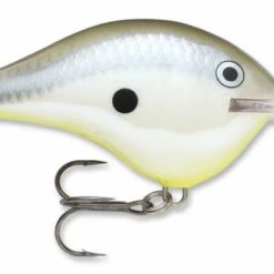 Baits & Lures Rapala DT Series Crankbait DT14