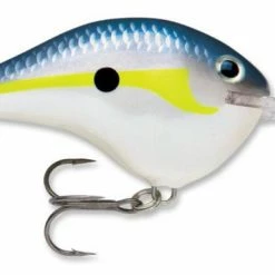 Baits & Lures Rapala DT Series Crankbait DT14