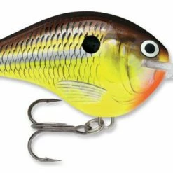 Baits & Lures Rapala DT Series Crankbait DT16