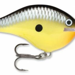 Baits & Lures Rapala DT Series Crankbait DT14