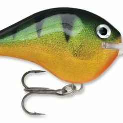 Baits & Lures Rapala DT Series Crankbait DT14