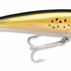 Rapala SXR-14 X-Rap Saltwater 5 1/2 Inch Rip Bait Saltwater Baits & Lures