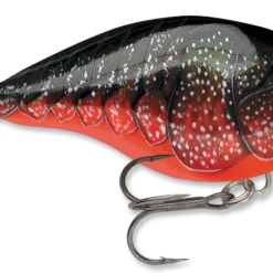 Baits & Lures Rapala DT Series Crankbait DT4