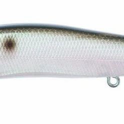 Baits & Lures Megabass Ito Vision 110 Silent Jerkbait