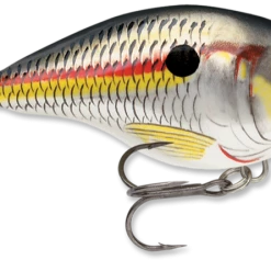 Baits & Lures Rapala DT Series Crankbait DT4