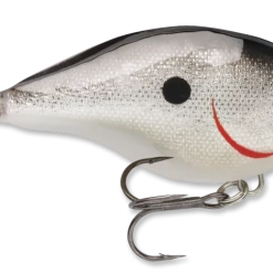 Baits & Lures Rapala DT Series Crankbait DT4