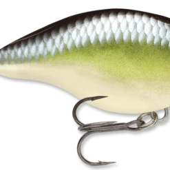 Baits & Lures Rapala DT Series Crankbait DT4