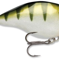 Baits & Lures Rapala DT Series Crankbait DT4